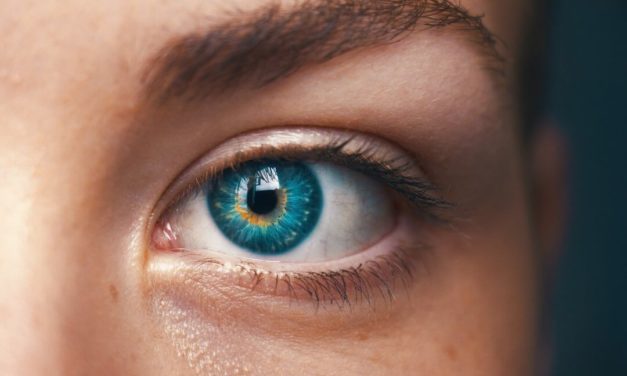 Augenfarben Häufigkeit in Deutschland & weltweit